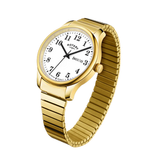 Load image into Gallery viewer, Rotary Expander Watch