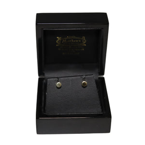 9ct Yellow Gold Polished Cylinder Stud Earrings